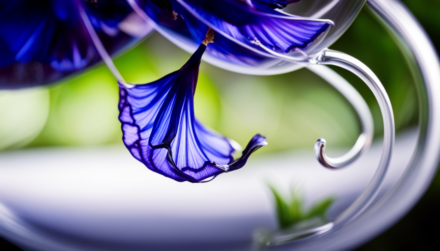 An image showcasing a vibrant, close-up shot of a delicate, deep blue Butterfly Pea Flower Tea infusion gracefully swirling in a transparent glass teapot, highlighting the exotic beauty and allure of this sought-after tea