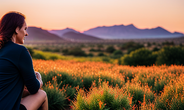 An image showcasing a serene sunset on a vast Rooibos plantation, with vibrant crimson bushes stretching towards the horizon