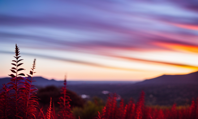 An image showcasing a serene African landscape with a vibrant red plant, the rooibos bush, standing tall amidst the rolling hills