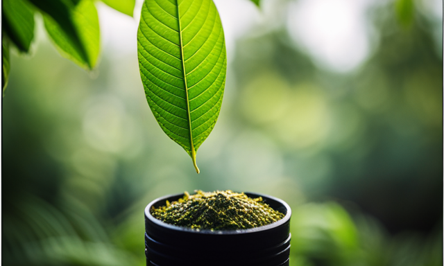 An image showcasing a vibrant, lush green landscape with a close-up of Yerba Mate leaves