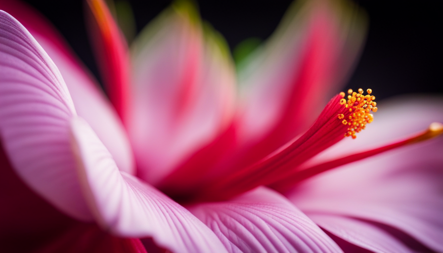 An image capturing a close-up of a delicate hibiscus bloom, showcasing its vibrant crimson petals, prominent stamen, and the tiny golden pollen grains delicately sprinkled on its velvety surface