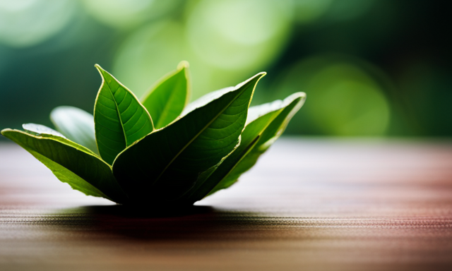 An image contrasting a vibrant and lush green tea leaf with a rich and earthy oolong leaf, emphasizing their unique textures and colors