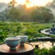 tea rituals enhance mental health