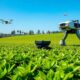 technology enhances tea production