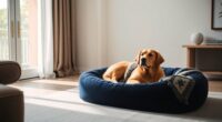 comfortable and stylish dog beds