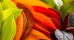 tea antioxidant strength ranking