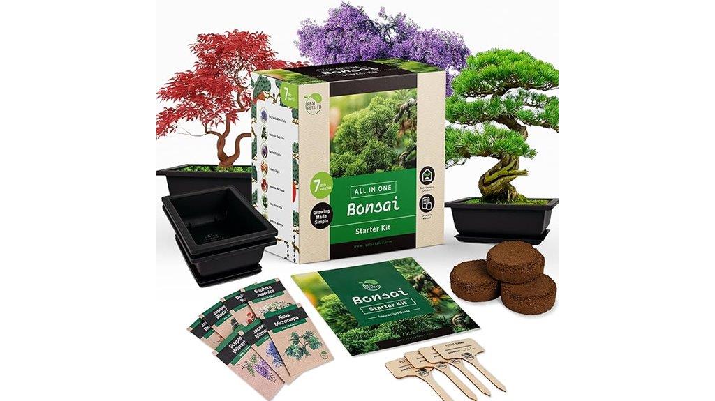 beginner bonsai tree kit