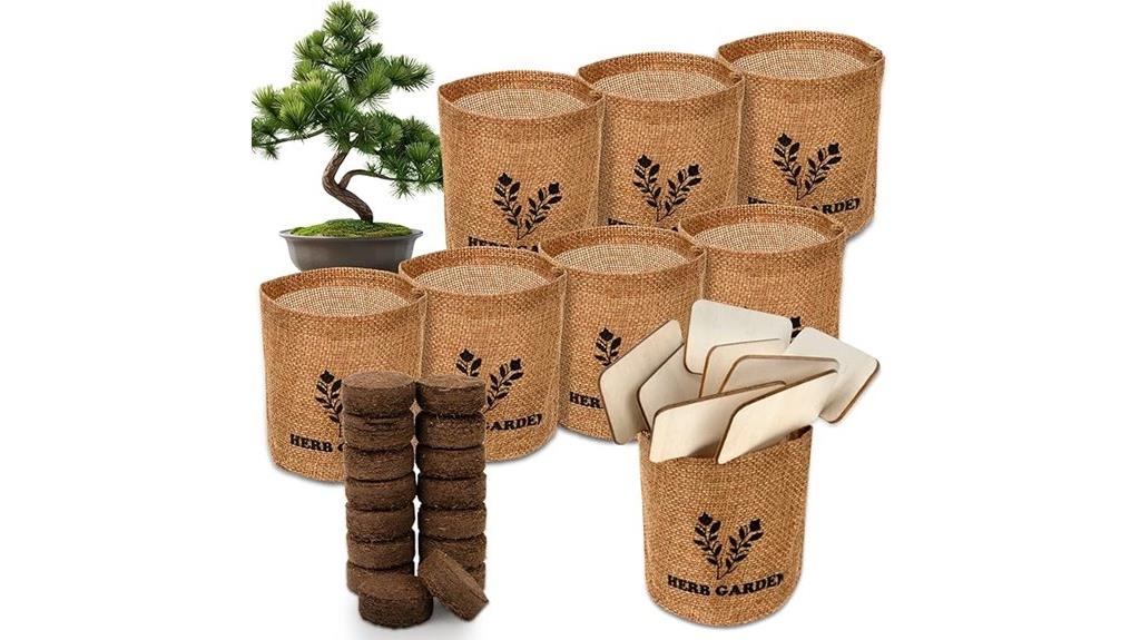 bonsai kit with accessories