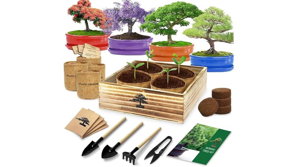 bonsai kit with seeds