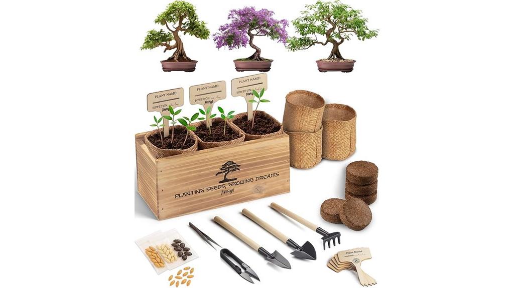 bonsai kit with tools