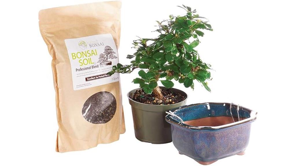 brussels fukien tea kit