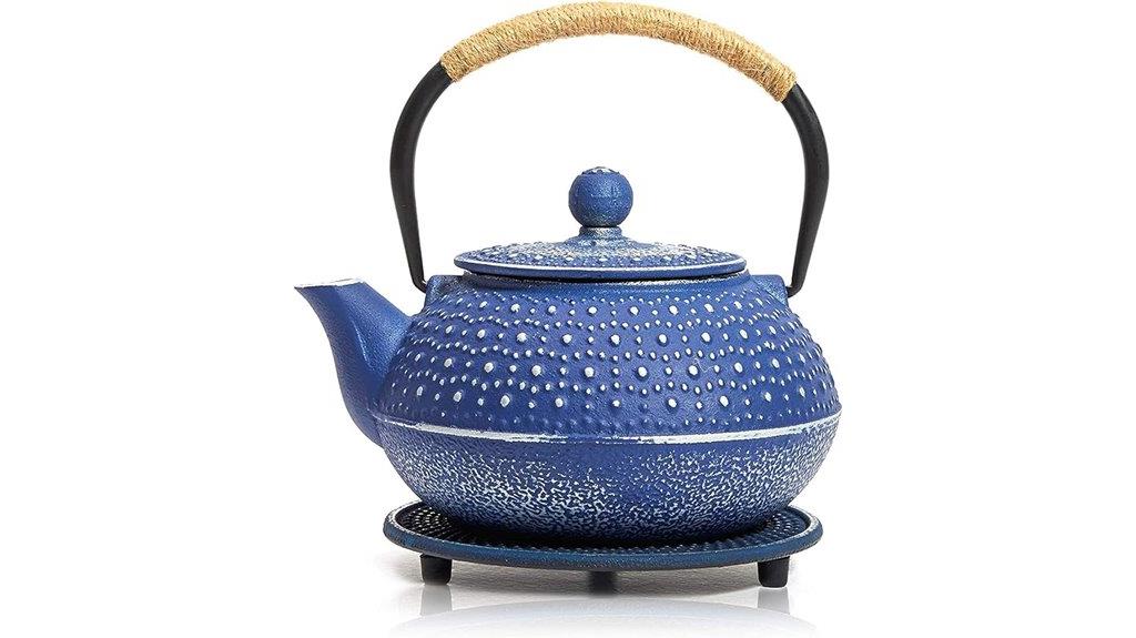 cast iron teapot with infuser