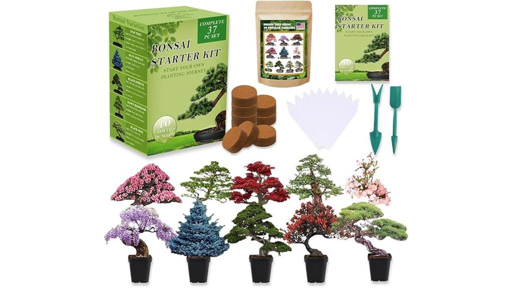 complete bonsai starter kit