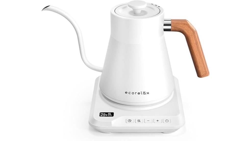 electric kettle with adjustable temperature