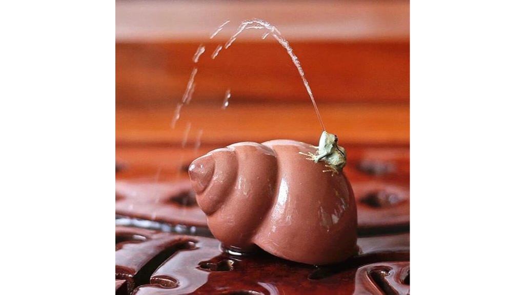 frog conch tea decor