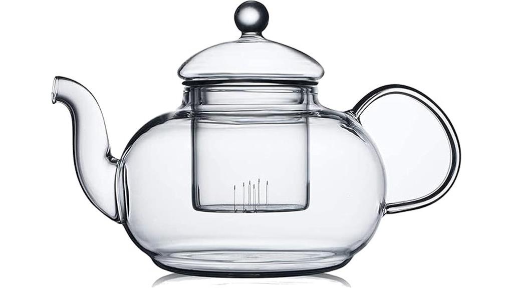 glass teapot with infuser