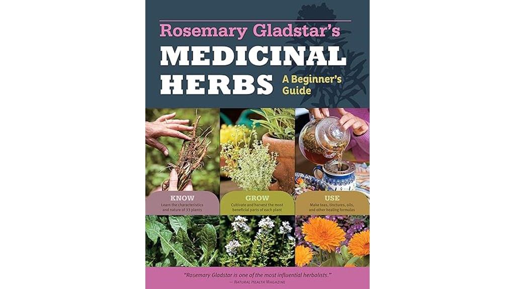 herbal remedies beginner s guide