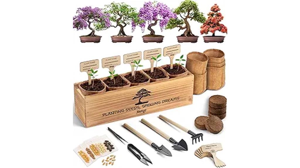 ideal starter bonsai kit