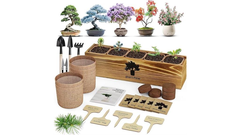 indoor bonsai starter set