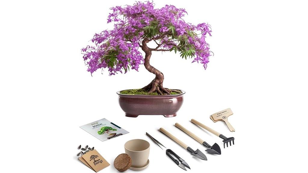 jacaranda seed growing kit