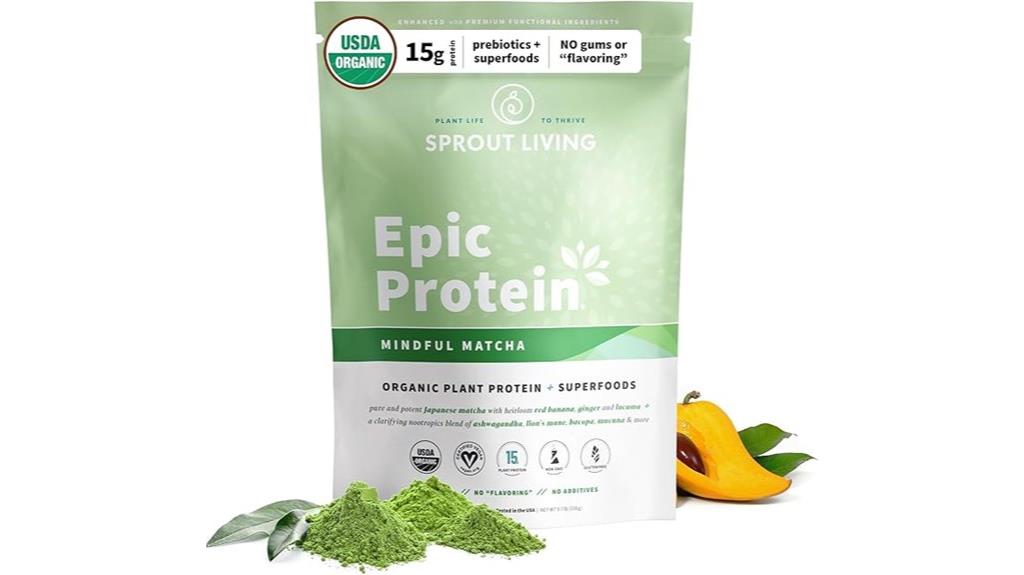 plant based protein powder