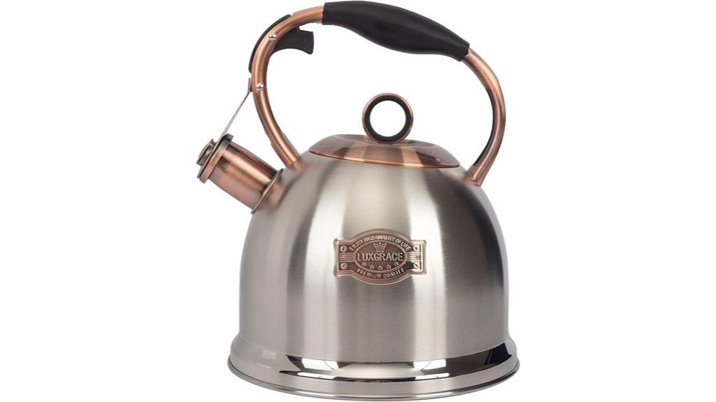 stainless steel tea kettle