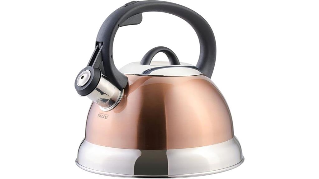 stainless steel tea kettle