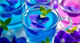 top butterfly pea tea selections