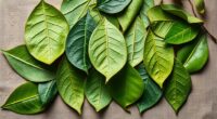 top tea leaf skin masks