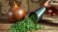 yerba mate historical roots