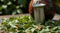 yerba mate myths facts