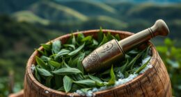 yerba mate regional differences