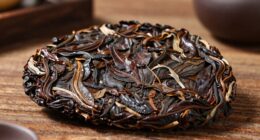 authentic pu erh tea origins