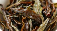 exploring oolong tea benefits