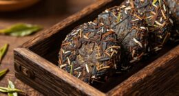 exploring pu erh s unique qualities