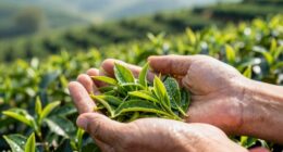 hidden intricacies of harvesting