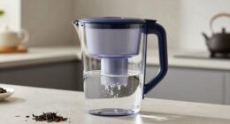 selecting affordable tea filters