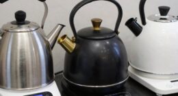 types of electric samovars