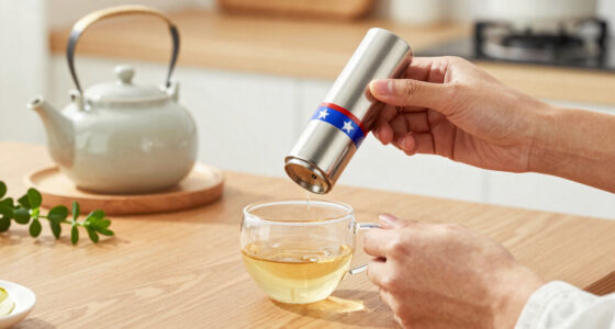 9 Best Patriotic Tea Infusers in 2026