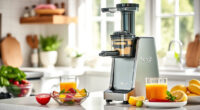 Beat the Heat with Fresh Summer Juices Using Ninja NeverClog Juicer