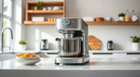 How to Clean a Breville Barista Express Effectively