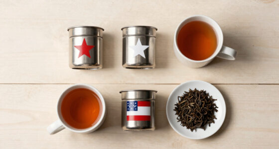 6 Best Patriotic Tea Infusers in 2026