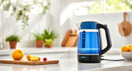 Ninja KT200BL Precision Temp Kettle: Perfect for Summer Tea and Coffee