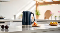 Summer Care Tips for Your Ninja KT200BL Precision Kettle