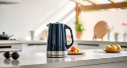 Summer Care Tips for Your Ninja KT200BL Precision Kettle