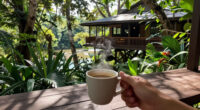 Treehouse Restaurant At Silky Oaks Lodge Surges In Global Coverage